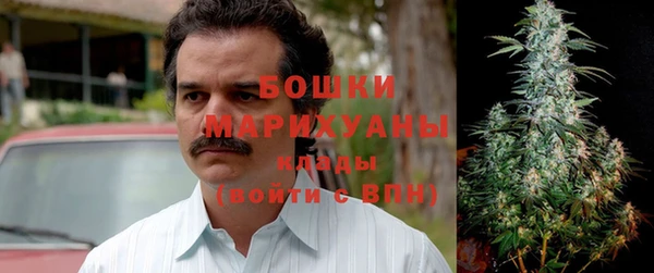 шишки Карталы