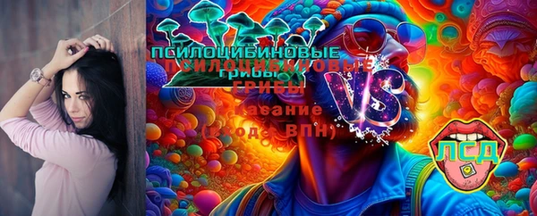 ГАЛЛЮЦИНОГЕННЫЕ ГРИБЫ Касимов
