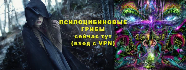 дурь Каменка