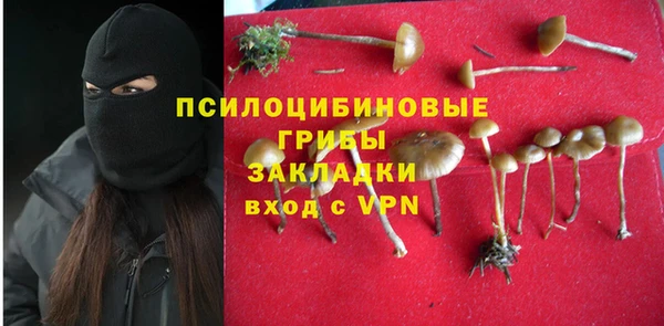 ГАЛЛЮЦИНОГЕННЫЕ ГРИБЫ Касимов