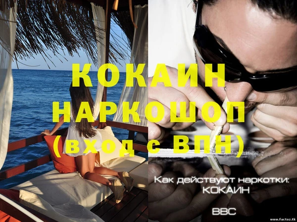 шишки Карталы
